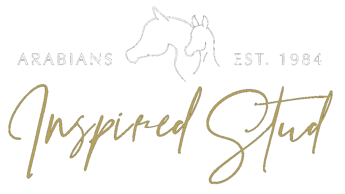 Inspired Stud – Arabians, Est. 1984